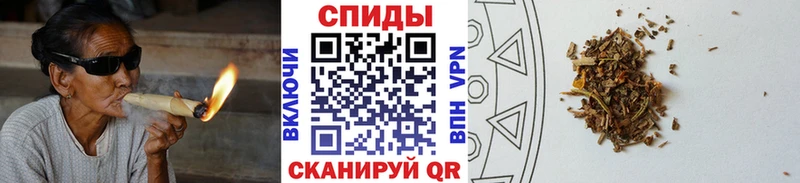 Бутират буратино  Богородицк 