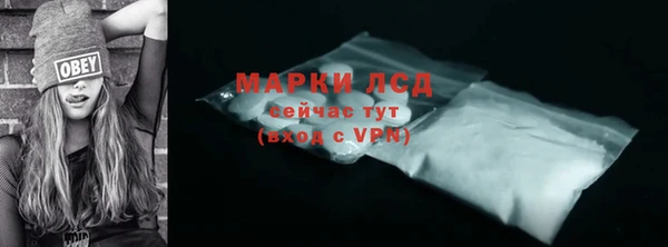 стаф Алексин