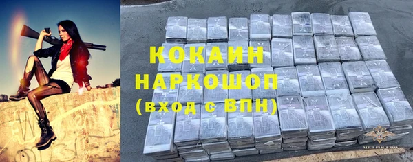 бошки Алзамай