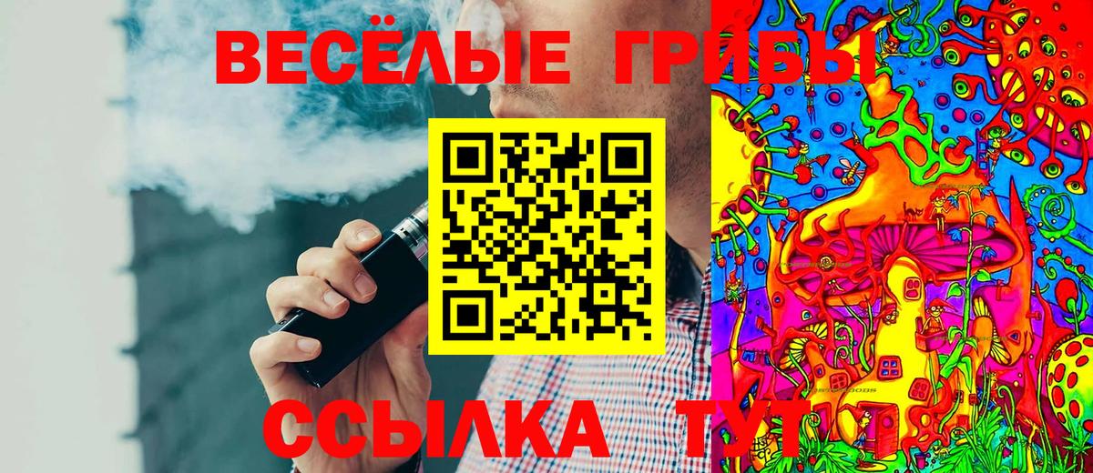 Богородицк  Псилоцибиновые грибы Cubensis  Вход с VPN  Псилоцибиновые грибы мицелий 
