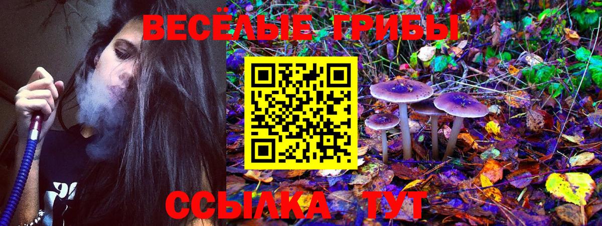 Галлюциногенные грибы мицелий Богородицк